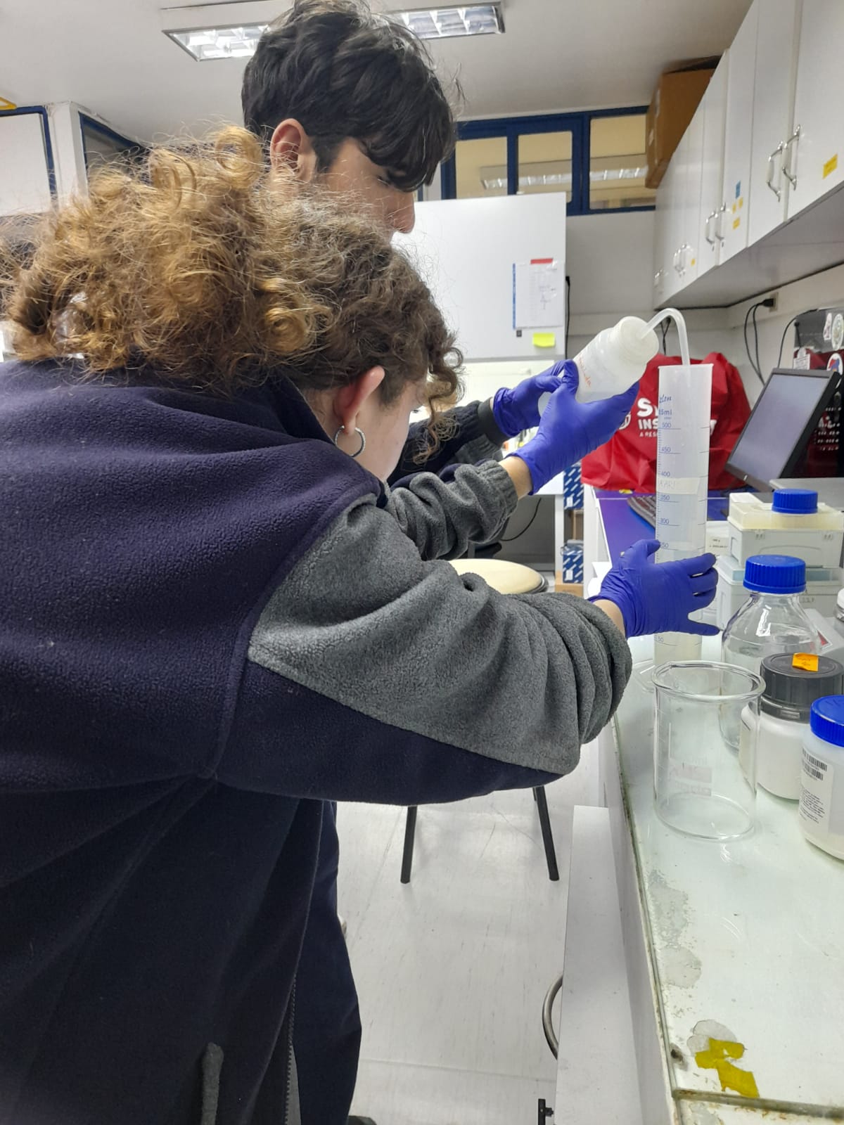 Pasantía laboratorio de Genética Molecular USACH