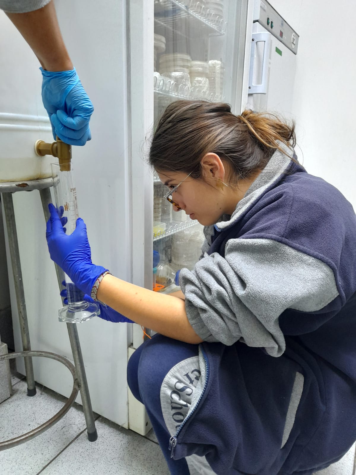 Pasantía laboratorio de Genética Molecular USACH